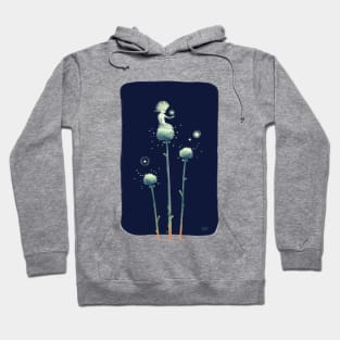 Fairies Hoodie